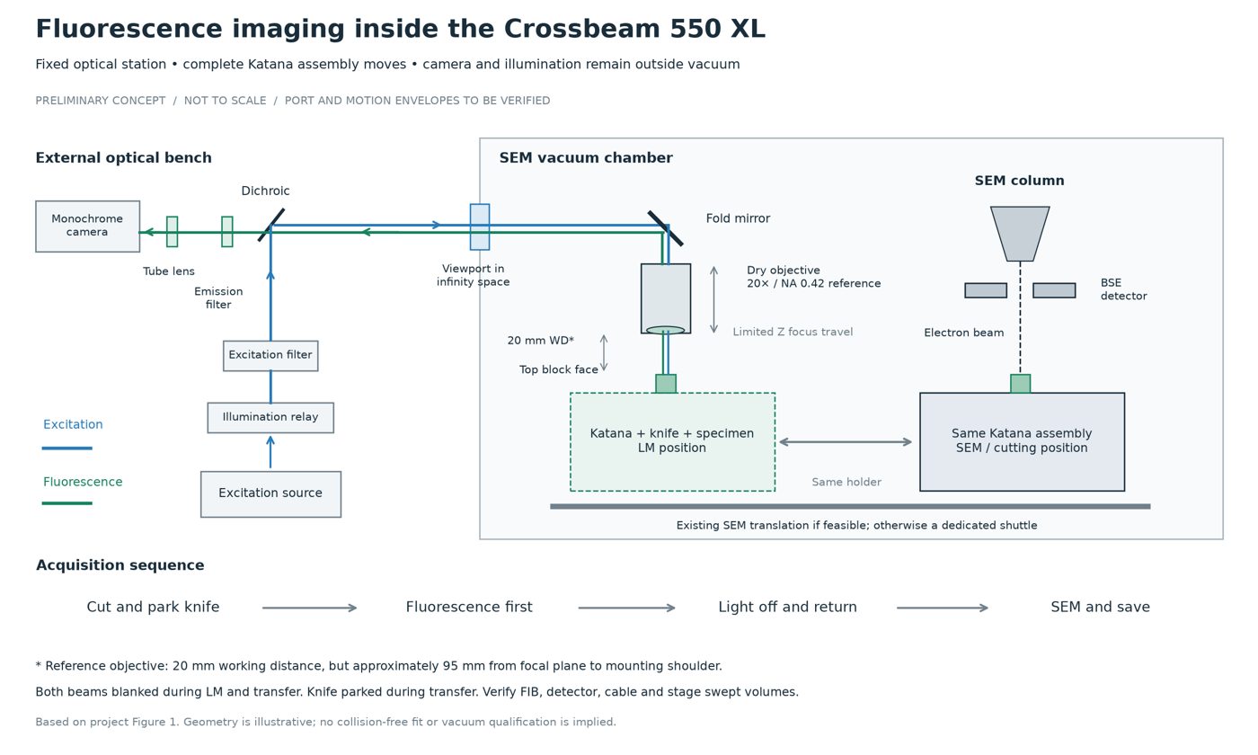 SEM fluorescence layout schematic